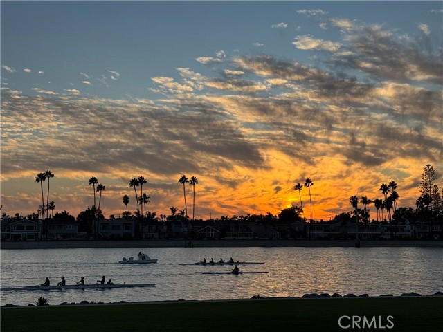 MLS #PW25219947 image #4