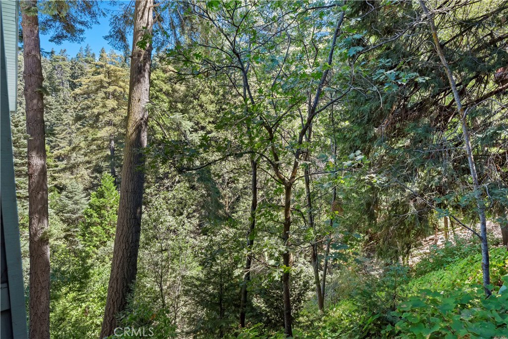 MLS #PW25220916 image #31