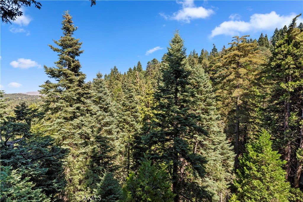 MLS #PW25220916 image #33