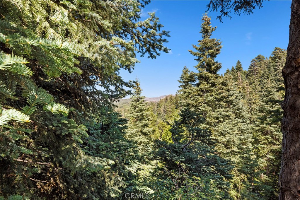 MLS #PW25220916 image #37