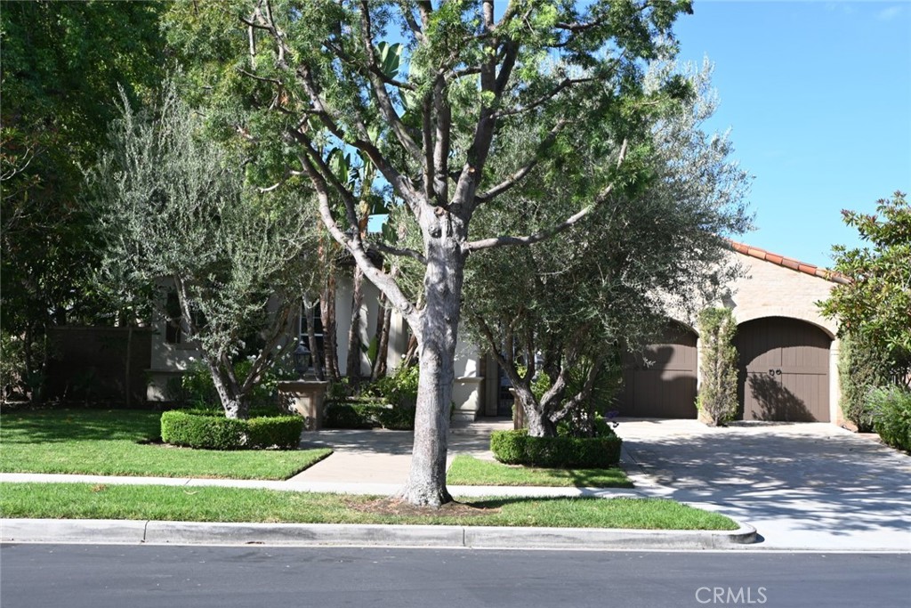 MLS #PW25225009 image #1