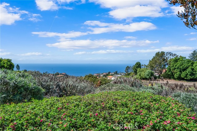 MLS #PW25225200 image #26