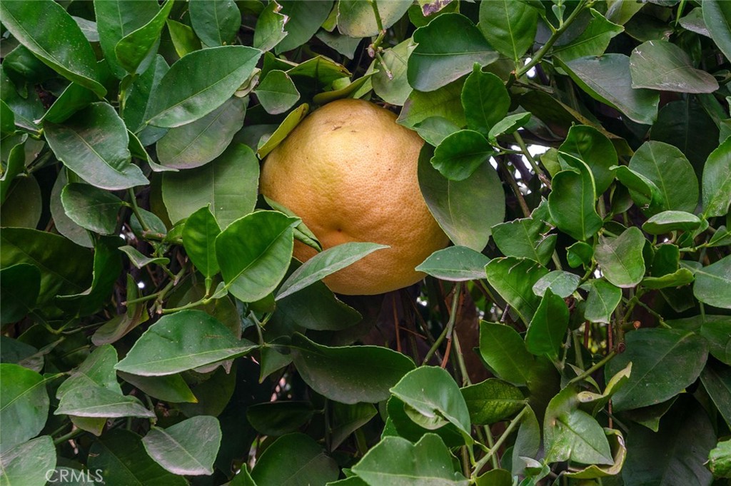 MLS #PW25225245 image #41