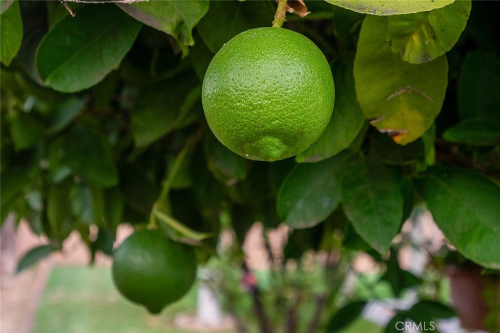 MLS #PW25225245 image #42