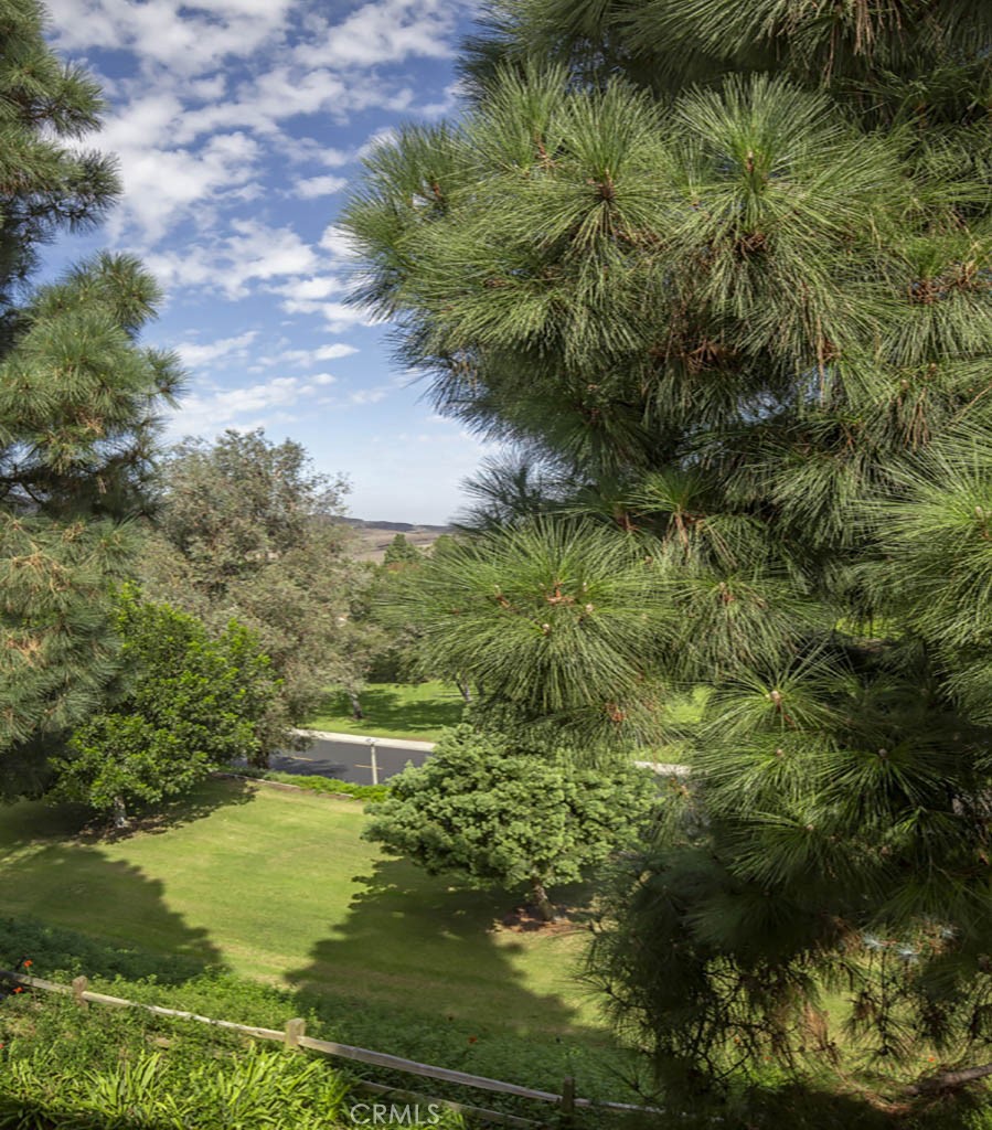 MLS #PW25225797 image #11