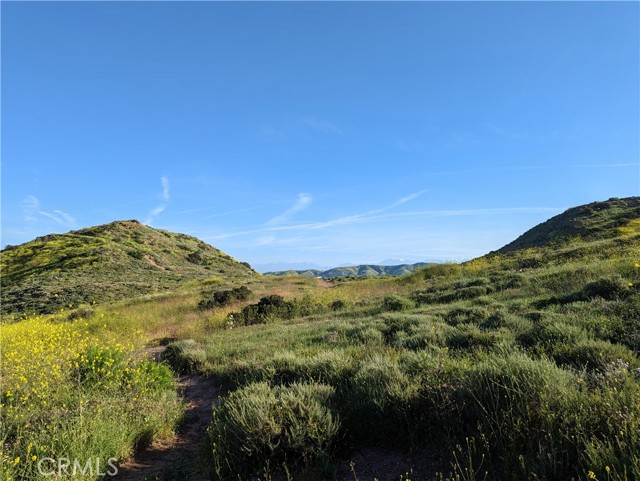 MLS #PW25228976 image #50