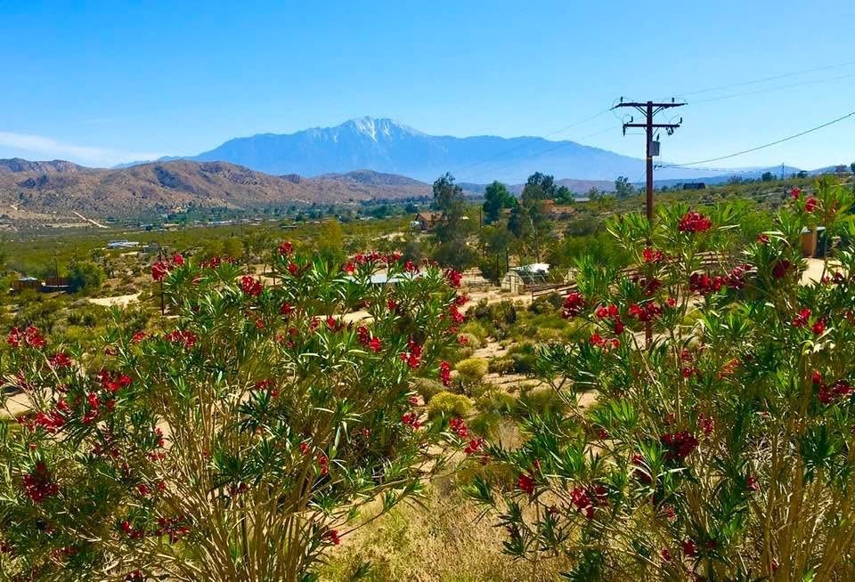 MLS #PW25229069 image #2