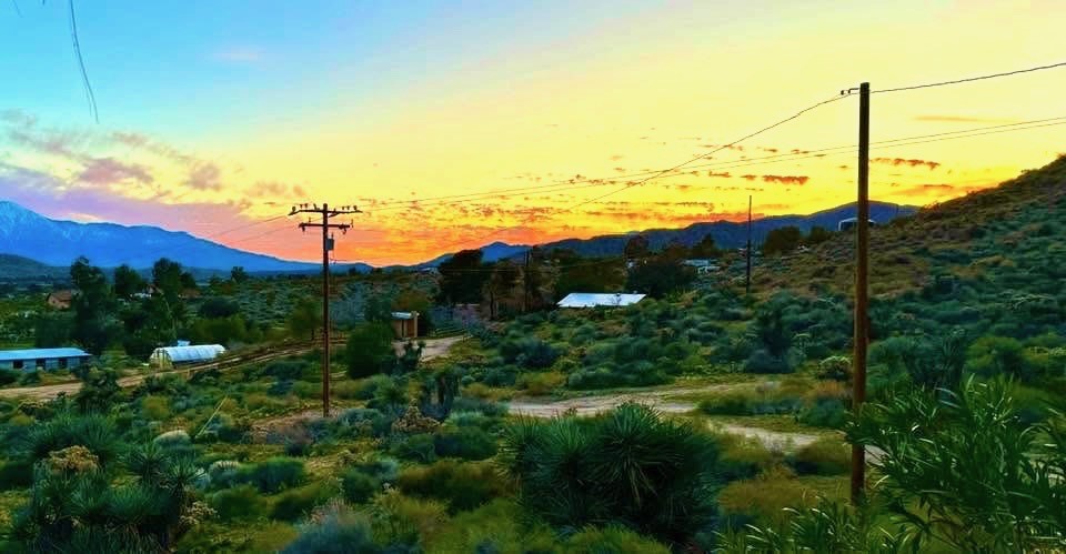 MLS #PW25229069 image #3