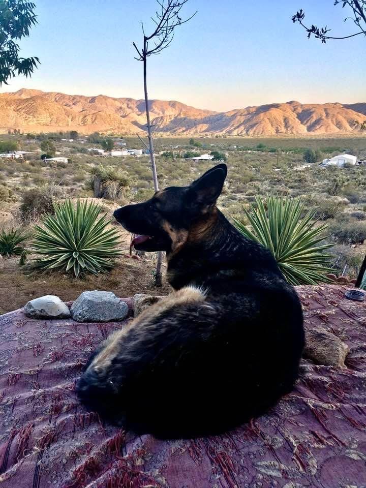 MLS #PW25229069 image #7