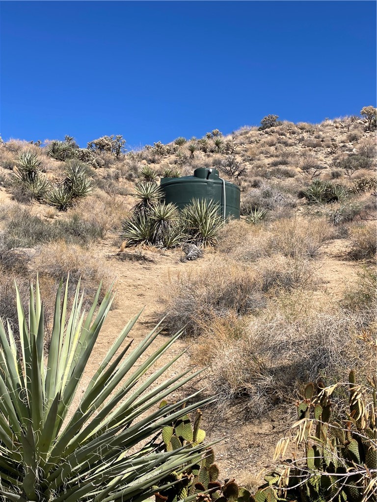 MLS #PW25229069 image #8