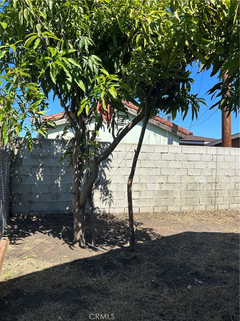 MLS #PW25229420 image #13