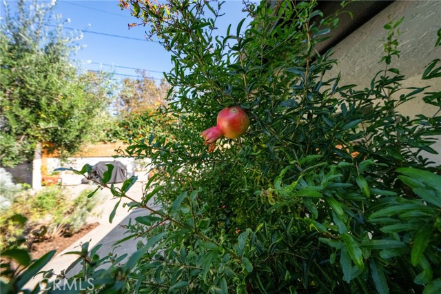 MLS #PW25230262 image #33