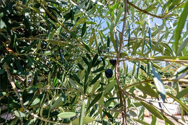 MLS #PW25230262 image #36