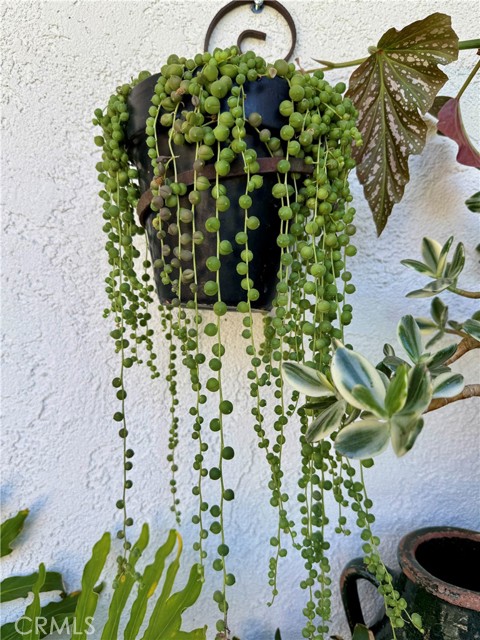 MLS #PW25230262 image #62