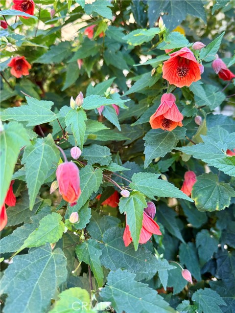 MLS #PW25230262 image #64