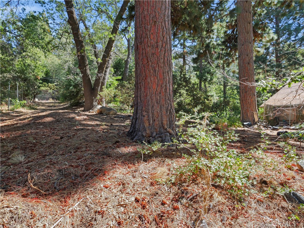 MLS #PW25231577 image #27