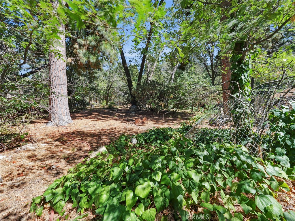 MLS #PW25231577 image #32