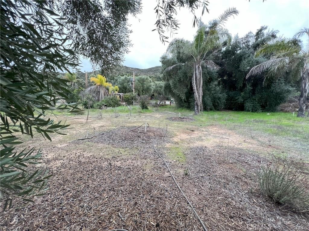 MLS #PW25232712 image #2