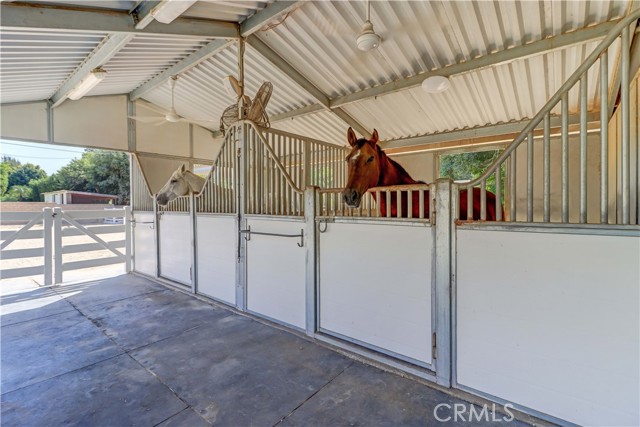 MLS #OC25179846 image #34