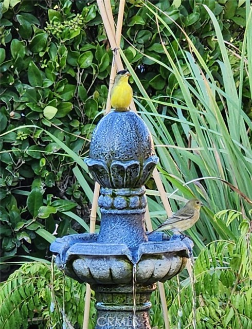 MLS #PW25233067 image #4