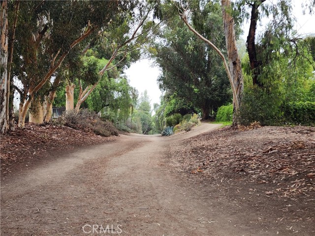 MLS #PW25233067 image #5