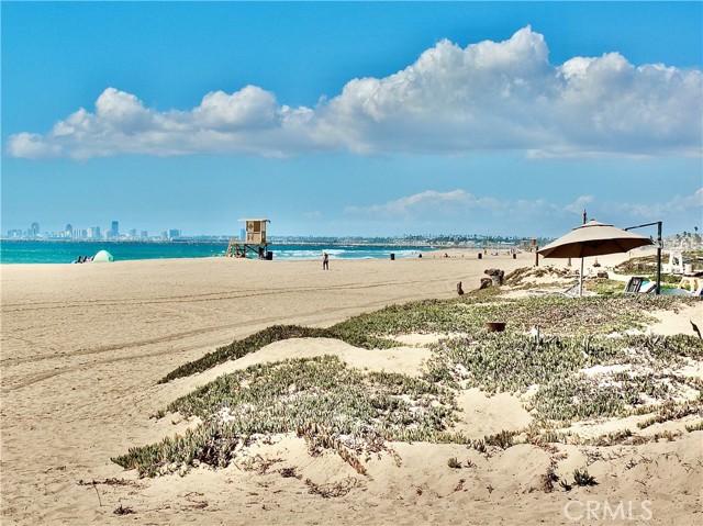 MLS #PW25234503 image #3