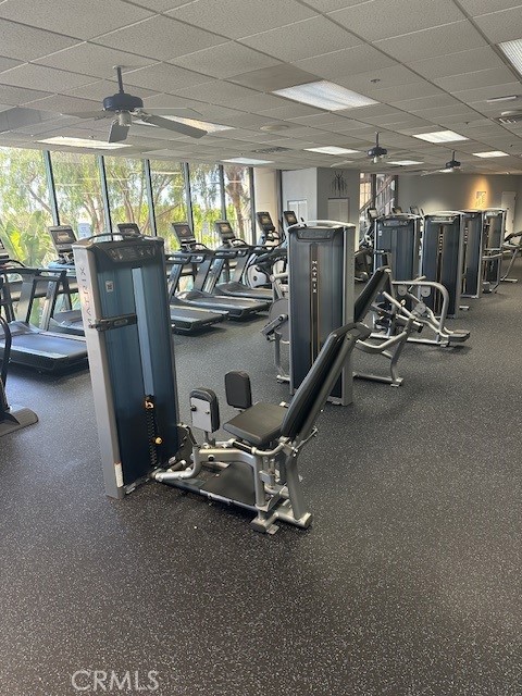 MLS #PW25236620 image #30