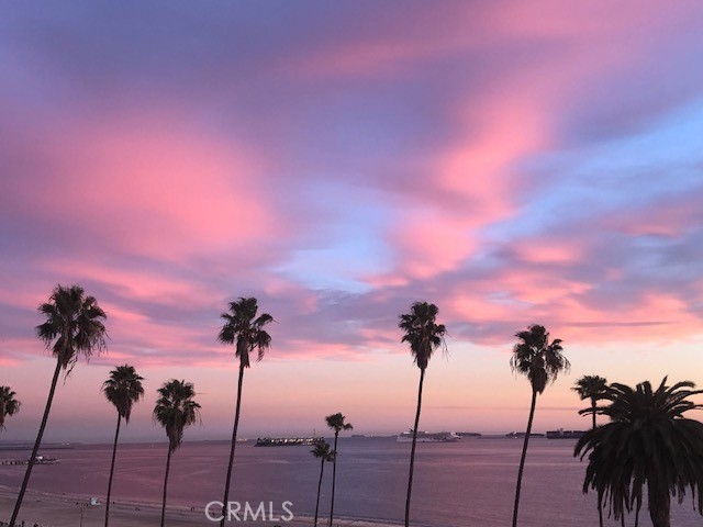 MLS #PW25237940 image #26