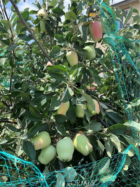 MLS #PW25240777 image #45