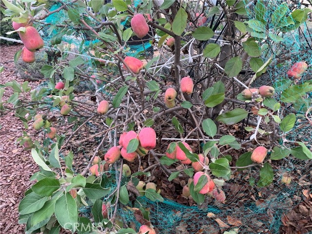 MLS #PW25240777 image #47