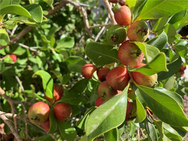 MLS #PW25240777 image #49