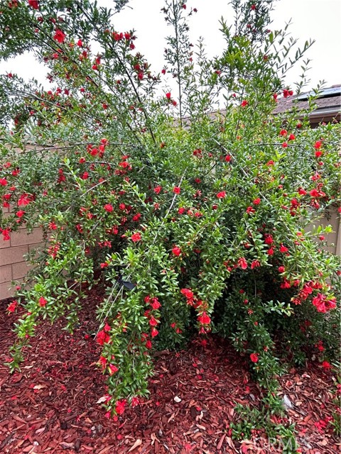 MLS #PW25240777 image #50