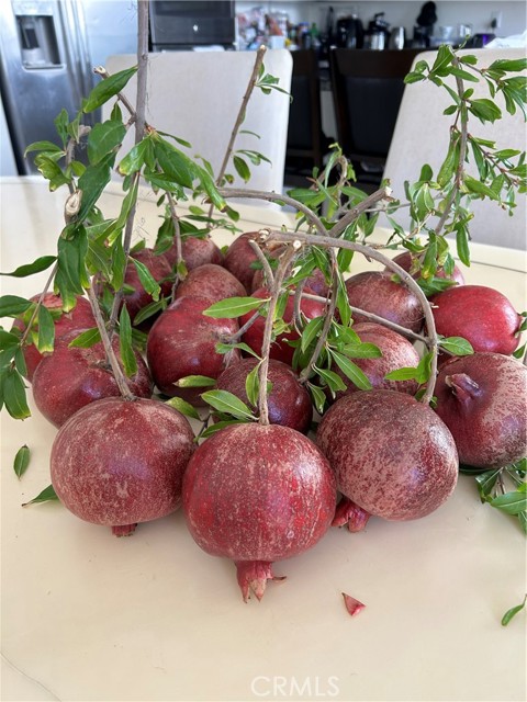 MLS #PW25240777 image #51