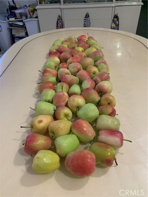 MLS #PW25240777 image #52