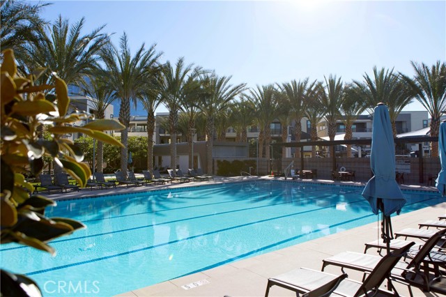 MLS #PW25241239 image #51