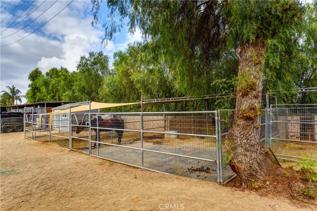 MLS #PW25241576 image #27