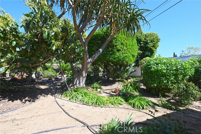 MLS #PW25246056 image #50