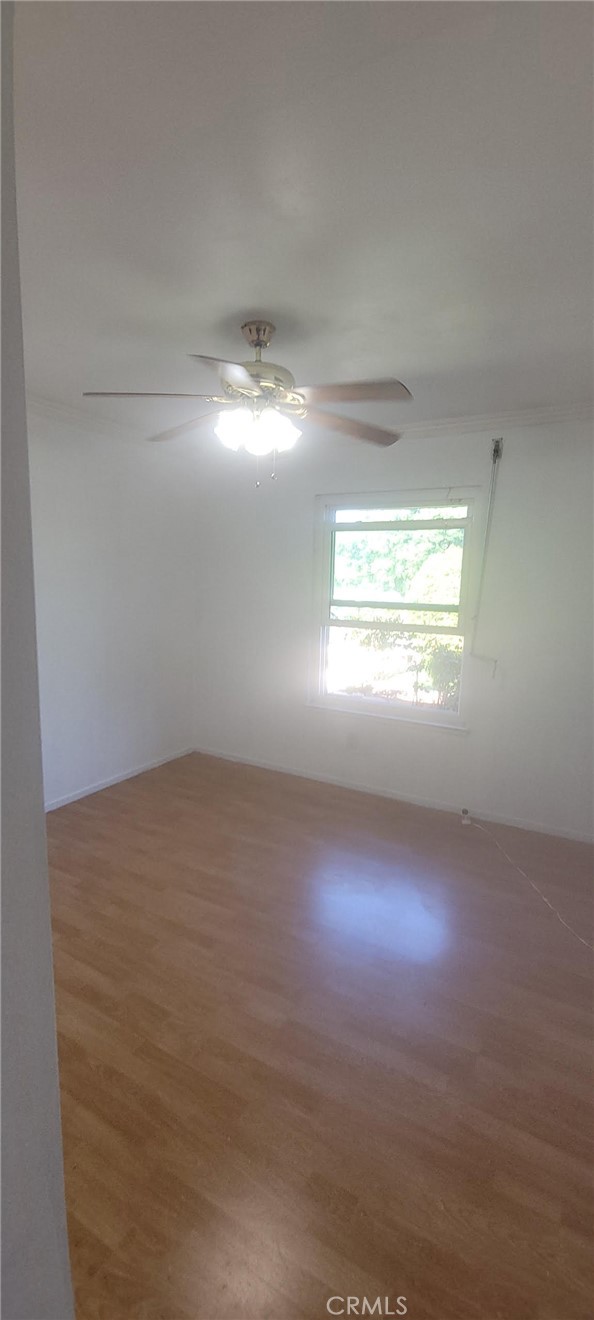 MLS #PW25246261 image #13