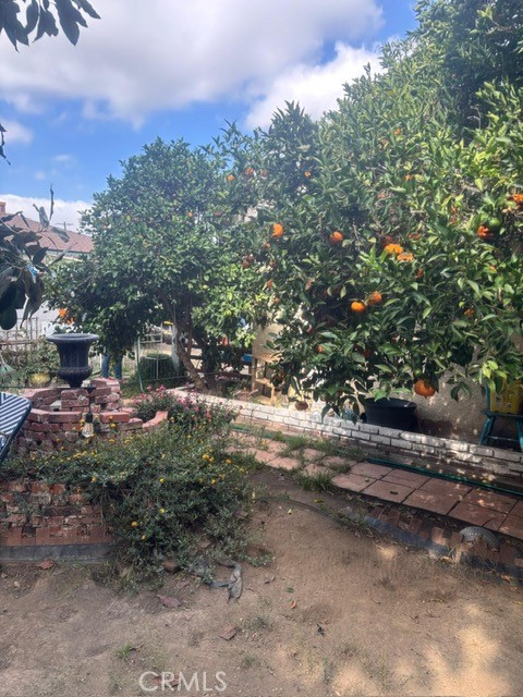 MLS #PW25246720 image #26