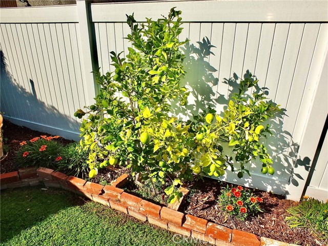 MLS #PW25247274 image #47