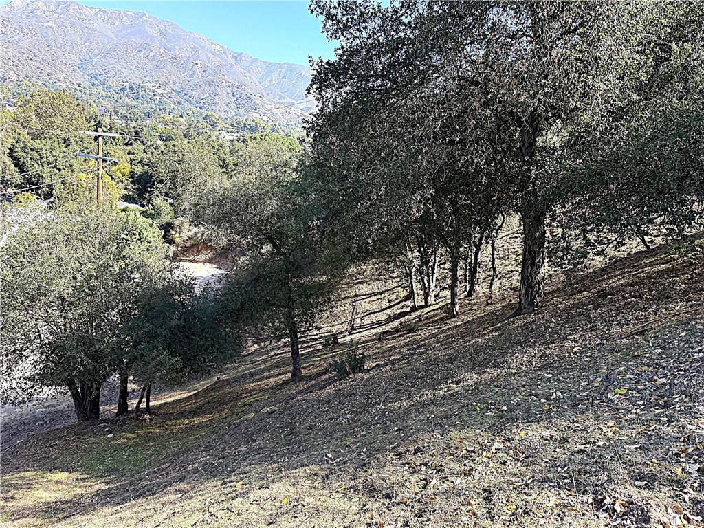 MLS #PW25247403 image #16