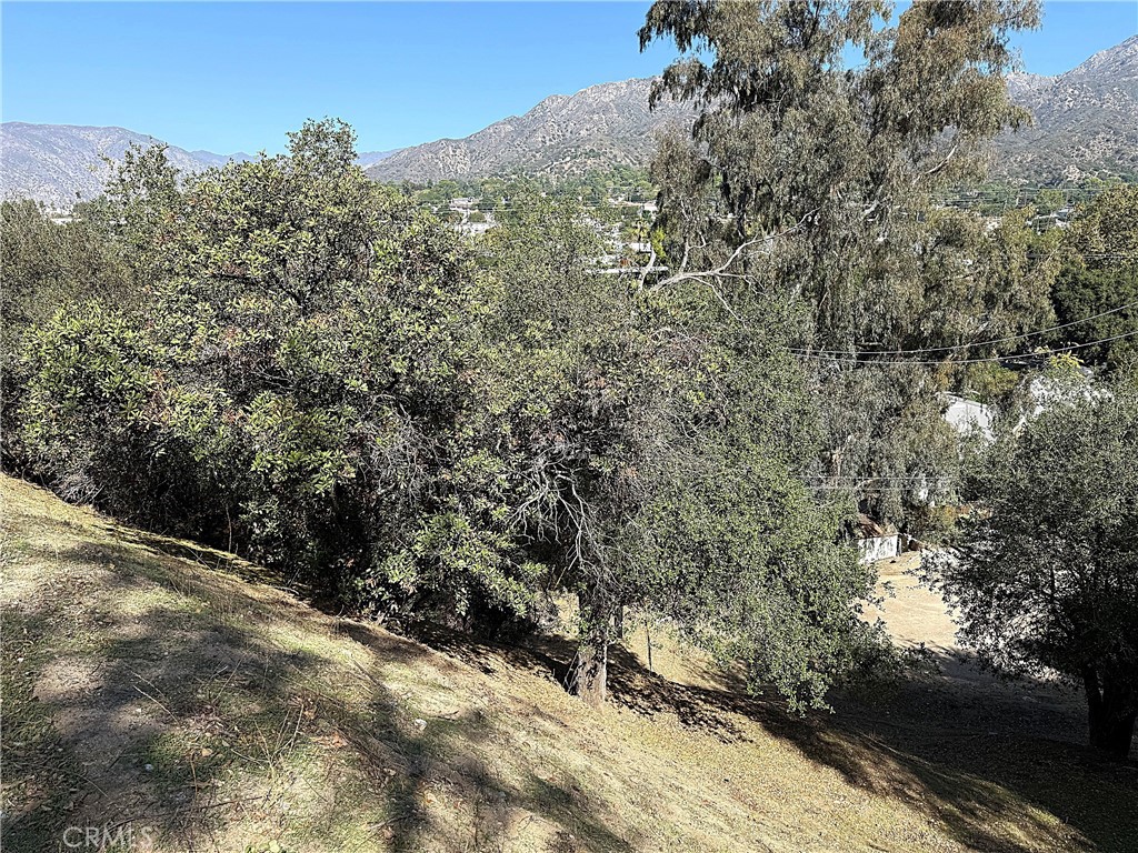 MLS #PW25247403 image #17