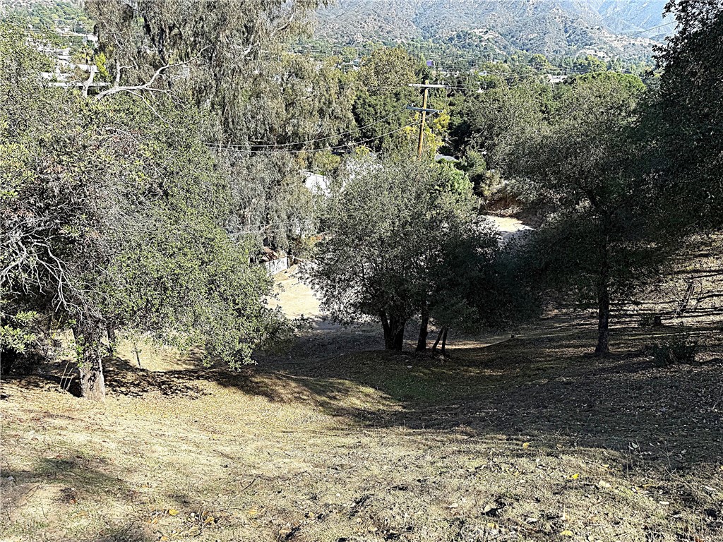 MLS #PW25247403 image #19