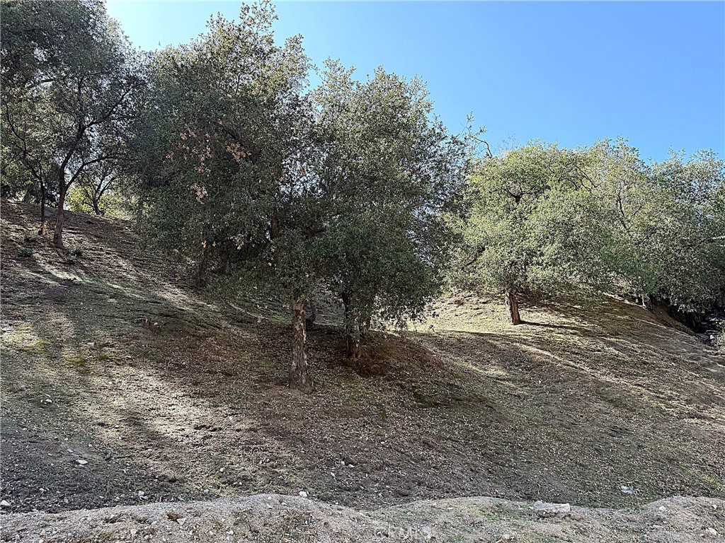 MLS #PW25247403 image #2