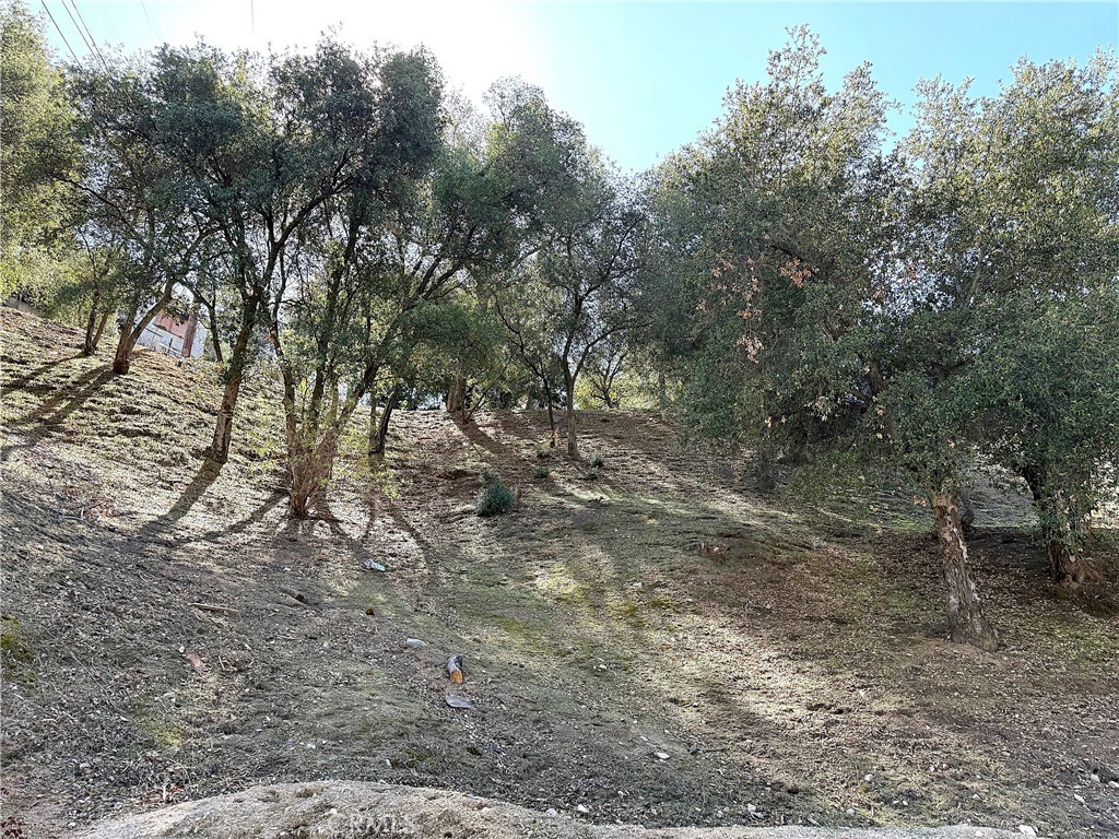 MLS #PW25247403 image #7