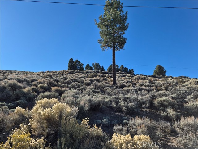 MLS #PW25248724 image #1