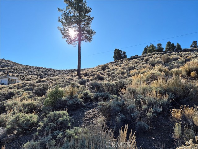 MLS #PW25248724 image #10