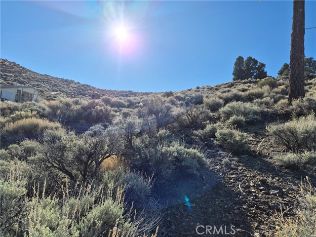 MLS #PW25248724 image #2