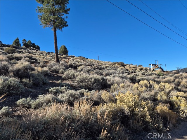 MLS #PW25248724 image #5