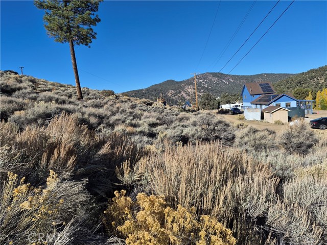 MLS #PW25248724 image #6